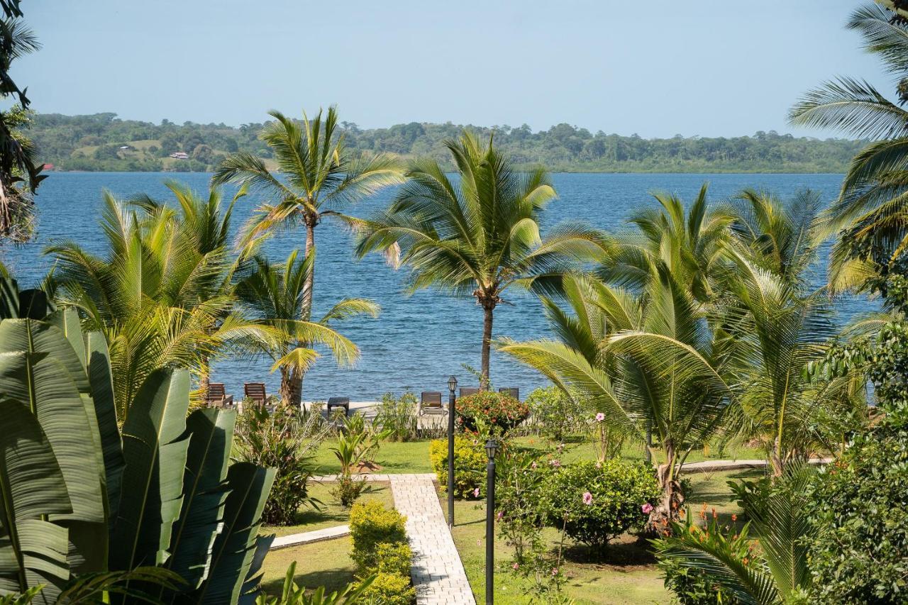 Dolphin Blue Paradise Bocas Town Dış mekan fotoğraf