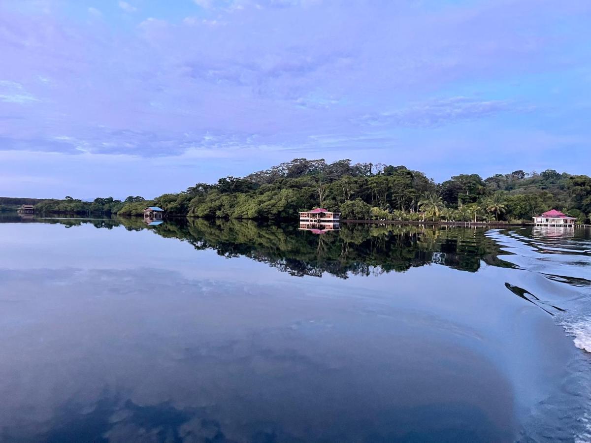 Dolphin Blue Paradise Bocas Town Dış mekan fotoğraf