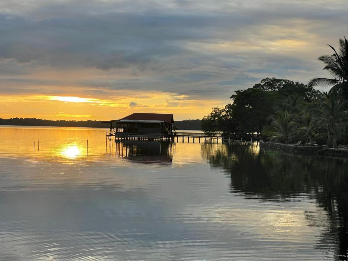 Dolphin Blue Paradise Bocas Town Dış mekan fotoğraf