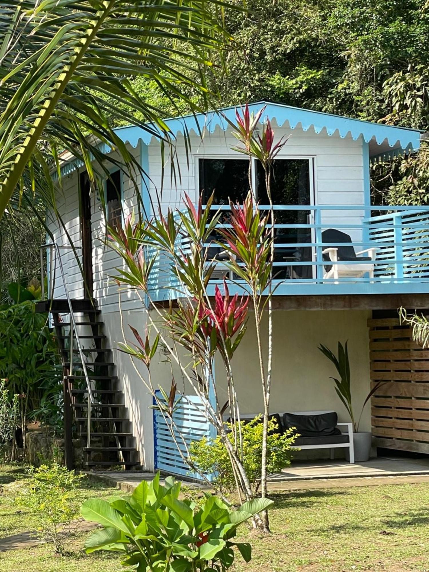 Dolphin Blue Paradise Bocas Town Dış mekan fotoğraf