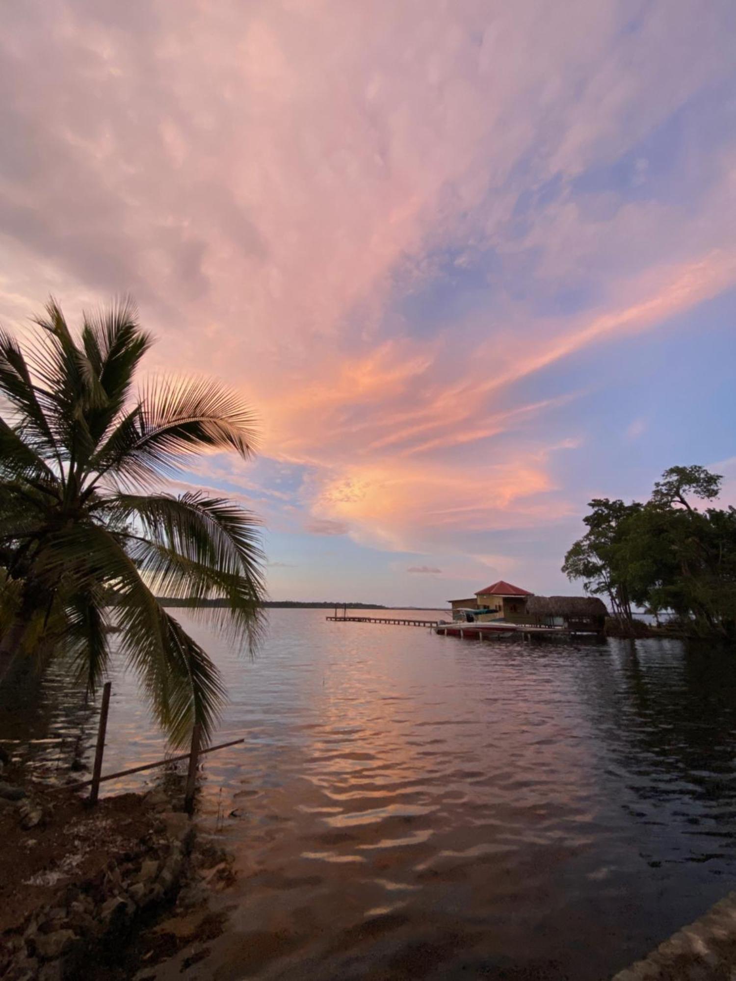 Dolphin Blue Paradise Bocas Town Dış mekan fotoğraf