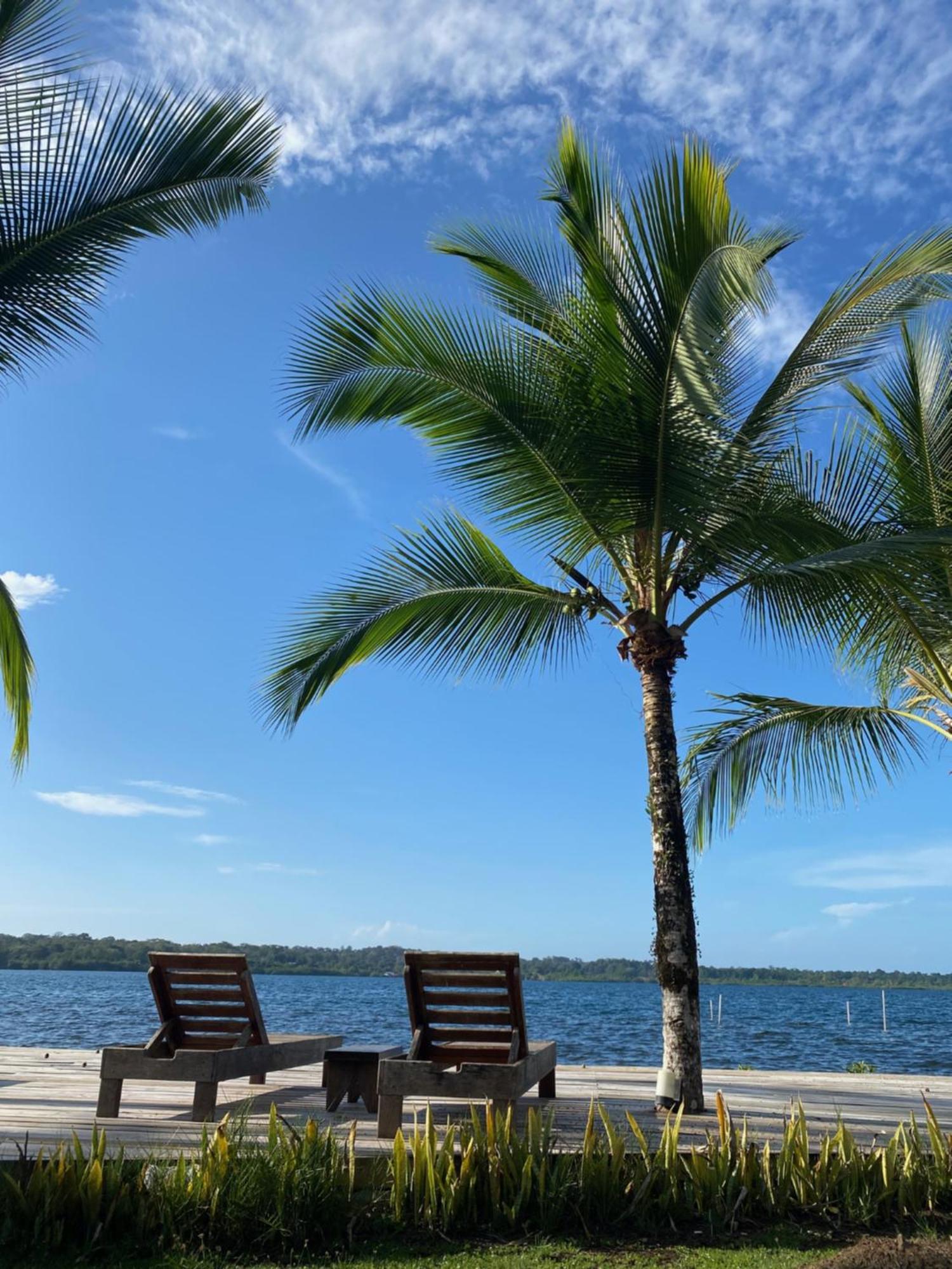 Dolphin Blue Paradise Bocas Town Dış mekan fotoğraf