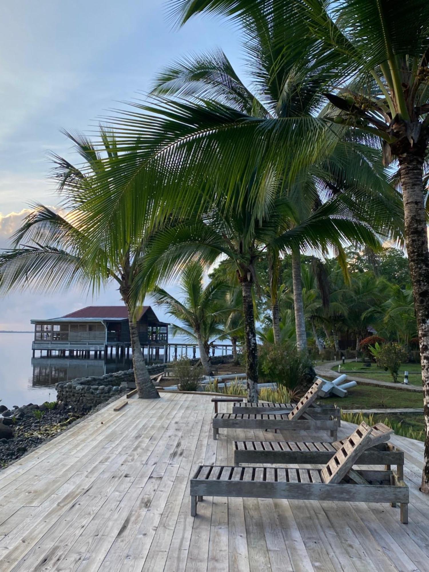 Dolphin Blue Paradise Bocas Town Dış mekan fotoğraf