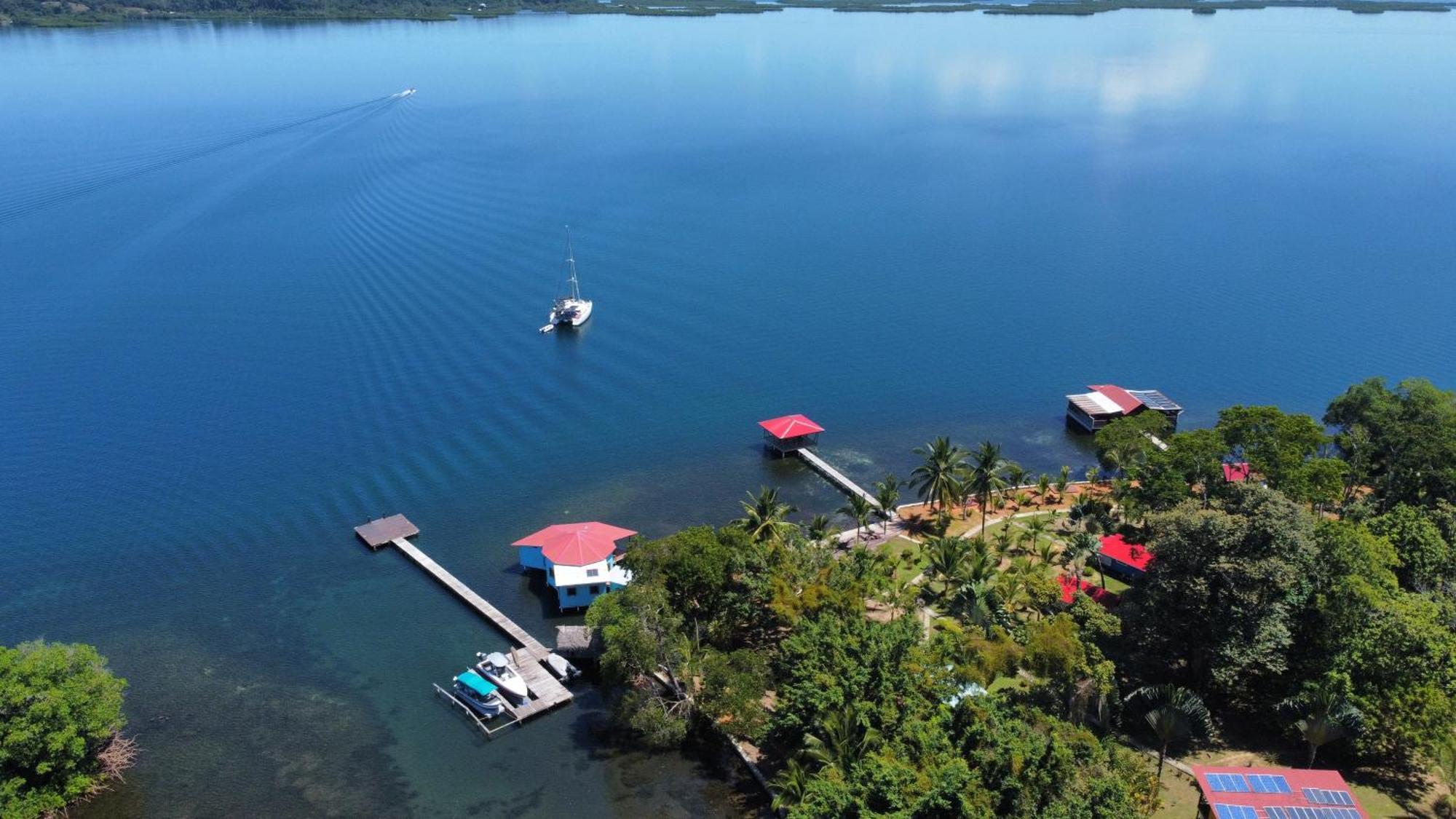 Dolphin Blue Paradise Bocas Town Dış mekan fotoğraf